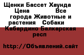 Щенки Бассет Хаунда  › Цена ­ 25 000 - Все города Животные и растения » Собаки   . Кабардино-Балкарская респ.